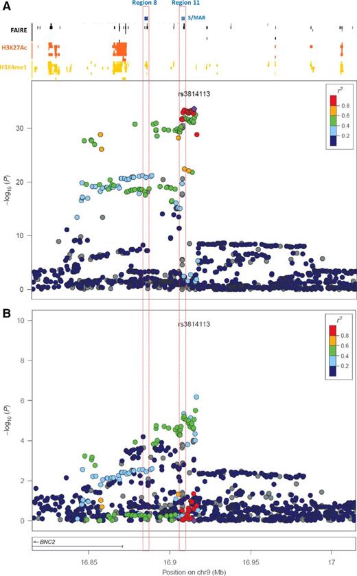 Figure 4. Fine mapping of the interval at 9p22 (chr9: 16407967-17407967) locus in 15,437 women diagnosed with invasive EOC and 30,845 controls. Plotted using LocusZoom (http://locuszoom.sph.umich.edu/locuszoom). A, rs3814113 (the most significant SNP in the original analysis; ref. 2) is shown as a purple diamond as remains as the most significant association in fine mapping analysis for serous ovarian cancer. SNPs are colored according to LD to rs3814113. B, Conditional analysis adjusting for rs3814113.
