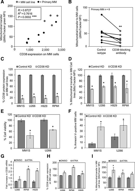 Figure 4. CD38 inhibition prevents mitochondrial transfer and TNT formation. A, Mitochondrial levels in primary multiple myeloma (MM) cells (n = 7) and multiple myeloma cell lines (n = 5) were correlated to CD38 expression on these cells. Mitochondrial levels were achieved using the MitoTracker-based assay, whereas CD38 expression was determined using flow cytometry. B, Primary multiple myeloma cells (n = 8) and BMSC were prestained with 200 nmol/L MitoTracker Green for 1 hour and then cultured together before 24-hour treatment with a CD38-blocking antibody. Flow cytometry was used to detect MitoTracker Green FM in the multiple myeloma cells. C, Four multiple myeloma cell lines were transduced with a lentivirus targeted to CD38 or control for 72 hours. CD38 protein expression levels were analyzed by flow cytometry. D, The four multiple myeloma cell lines transduced with a lentivirus targeted to CD38 or control were prestained, along with BMSC, with MitoTracker Green for 1 hour and then cultured together for a further 24 hours before MitoTracker was assayed by flow cytometry. E and F, Control KD and CD38 KD MM1S and U266 cells were cocultured with BMSC for 24 hours. Cell viability and levels of apoptosis were assessed using CellTitre-Glo and Annexin V staining, respectively. G and H, U266, RPMI, and H929 cells were treated with 1 μmol/L ATRA or DMSO overnight. CD38 expression was analyzed in multiple myeloma cells at RNA (G) and protein (H) levels using qPCR and flow cytometry, respectively. I, Mitochondrial transfer levels from BMSC to multiple myeloma cells were analyzed using the MitoTracker Green mitochondrial transfer assay after treatment of multiple myeloma cells with ATRA. *, P < 0.05; **, P < 0.01.
