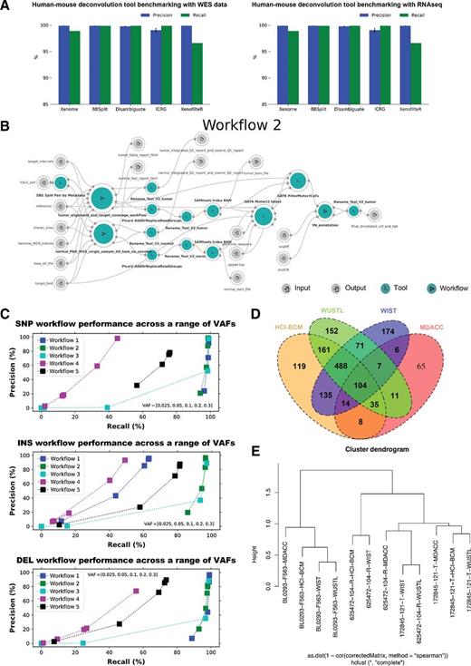 Figure 4. Workflow benchmarking and analysis summary. A, Results of the evaluation of mouse-human disambiguation tools (Xenome, BBSplit, Disambiguate, ICRG, XenofilteR). Each figure shows precision (blue) and recall (green) for a simulated data. Left, results of mouse disambiguation for whole exome data. Right, results of mouse disambiguation for RNA-seq data. B, The wiring diagram for the whole exome workflow selected to process data for this study. The selected workflow was selected from 5 workflows submitted by the PDTCs. Wiring diagrams for submitted whole exome workflows submitted by the PDX Development and Trials Centers. Wiring diagrams include nodes and connections. Nodes depict inputs, ; outputs, ; tools, ; workflows, . Connections between nodes depict that input to a node is from the output of another node. On the Seven Bridges platform, orange nodes () identify a tool or a workflow with an available update. C, Performance evaluations of five workflows submitted by the PDTC. Each workflow was evaluated by SNP (top), INS (middle), and DEL (bottom) with a range of VAFs (0.025, 0.05, 0.3, 0.2, 0.3). Each plot shows recall and precision respectively on the x and y axes. Results for each of the workflow are shown with the same color: Workflow 1, blue; Worfklow 2, green; Workflow 3, light blue; Workflow 4, purple; and Workflow 5, black. D, A Venn diagram showing the overlap in high-quality variant calls for model BL0293-F563 by model using intersected array and removing lower AF calls. E, Dendrogram of median polish by center (by MBatch) using TMM normalized count per million values.