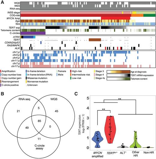 Figure 1. ALTs and TERT activation in neuroblastoma. A, Data tracks genome sequencing and RNA-seq availability, clinical variables, presence of C-circles, TC, TERT mRNA expression by RNA-seq, ATRX genomic alterations, TERT rearrangements, CDKN2A/p53 pathway alterations, Ras/MAPK alterations, ALK genomic alterations, and the most common copy number alterations in n = 134 primary neuroblastoma pretreated samples. B, RNA-seq, WGS, and C-circle assay data overlap in neuroblastoma primary patient tumors. C, TERT expression in primary neuroblastoma samples with WGS, RNA-seq, and C-circle assay (n = 85). Tumors were subcategorized on the basis of presence of MYCN amplification (blue; n = 15), TERTSV+ (red; n = 12), ALT activation (gray; n = 18), other high-risk neuroblastoma without these alterations (green; n = 17), and nonhigh-risk neuroblastoma (yellow; n = 23). **, P < 0.01; Wilcoxon rank-sum test.