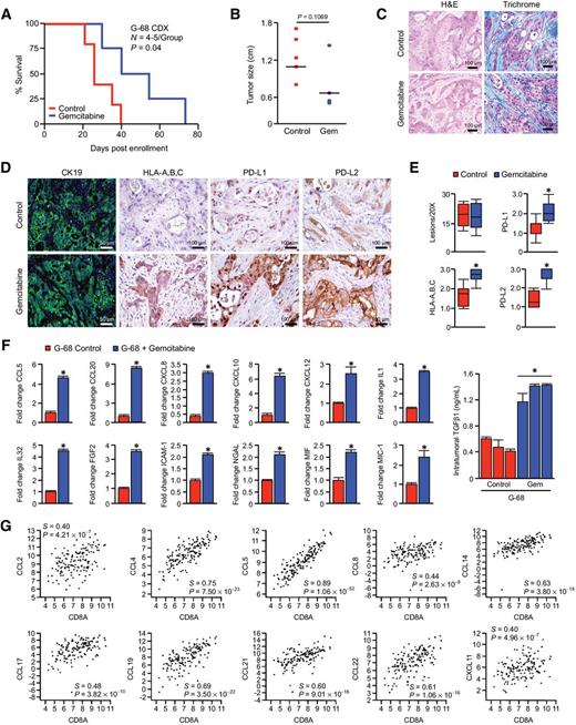 Figure 2. Long-term gemcitabine treatment similarly alters the immune profile of primary cell line-derived xenografts. A and B, G-68 human cells were injected subcutaneously into NSG mice, and once tumors reached 100–200 mm3, animals were treated with either a saline vehicle or 40 mg/kg gemcitabine. Animals were sacrificed when moribund or when tumors ulcerated. Survival in days postenrollment is displayed via the Kaplan–Meier method and tumor size in diameter (N = 4–5/group). C and D, Tissues from vehicle and gemcitabine-treated mice were then stained with either H&E or by IHC for CK19, HLA-A, B, C, PD-L1, or PD-L2. E, Tissue sections were evaluated by three blinded investigators. For IHC images, CK19+ lesions were quantified per 20× field, or slides were assigned a score by each investigator from 0–3+ based on staining intensity, and composite values displayed as a box plot. F, Tissues from control and gemcitabine-treated tumors were lysed, and 200 μg of total protein was evaluated by a high-throughput proteome profiler array (ARY022B). Pixel density was evaluated using ImageJ and samples normalized to the mean intensity of the reference spots for each blot minus the background density. Composite normalized values for all treated tumors were divided by those for control tumors and are presented as fold change plus SD. Using the same lysates, 20 μg of total protein from control and gemcitabine-treated mice was also subjected to TGFβ1 ELISA and are similarly presented as fold change plus SD. G, Using the TCGA genomic databases of patients with pancreatic cancer (N = 186), the relationship between mRNA expression of individual genes was plotted with that of the cytotoxic surrogate CD8A. All mRNA expression values are plotted in log scale and are displayed with the associated P and Spearmen (S) coefficient values. *, P < 0.05.