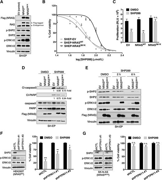 NRAS Status Determines Sensitivity to SHP2 Inhibitor Combination ...