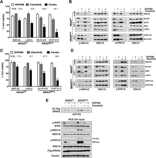 NRAS Status Determines Sensitivity to SHP2 Inhibitor Combination ...