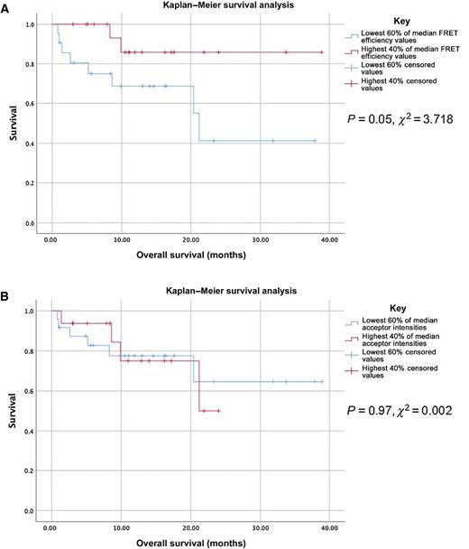Figure 7. Lower PD-1/PD-L1 interaction correlates to a significantly worsened patient survival in metastatic NSCLC. A, Anti-PD-1 post-treatment patients were ranked by their mean FRET efficiency value and grouped into the following: the lowest 60% of median FRET efficiencies and the highest 40% of median FRET efficiencies. Those with the lowest 60% of median FRET efficiencies had a significantly (P = 0.05) worsened overall survival. B, Patients were ranked by their PD-L1 expression (acceptor intensity) and split into the lowest 60% of median acceptor intensities and the highest 40%. Kaplan–Meier survival analysis was unable to detect a difference between the two groups (log-rank Mantel–Cox, P = 0.97).