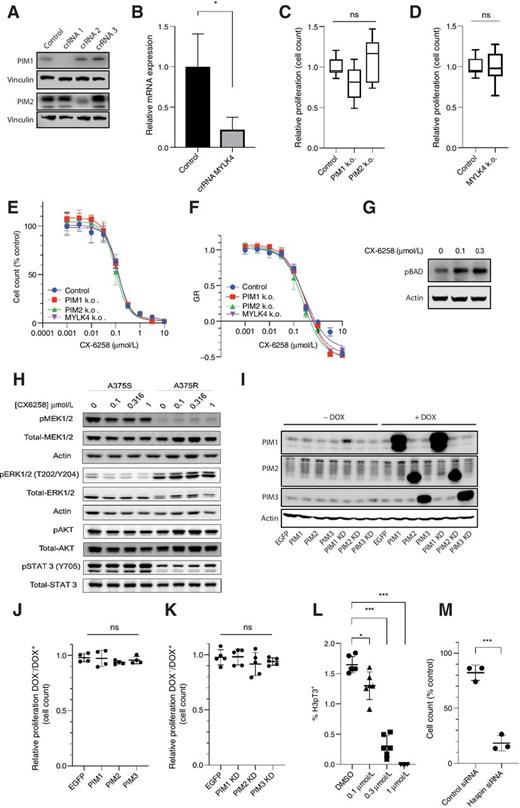 Inhibition of Haspin Kinase Promotes CellIntrinsic and Extrinsic