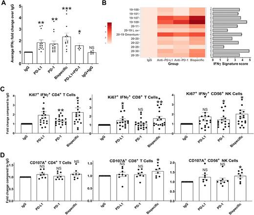 Figure 2. ICB antibodies induce detectable IFNγ production in proportion to the parent tumor aggregate immune state, increased CD4, CD8, and NK-cell activity, and a killing phenotype in CD8 T and NK cells in HGSC co-cultures. A, IFNγ ELISA analysis was performed on media from organoid co-cultures treated with IgG control, anti-PD-L1, anti-PD-1, anti-PD-1/PD-L1 (bispecific), anti-PD-1+anti-PD-L1, and IgG+IgG. Average IFNγ amounts normalized to the IgG control are shown here across all experiments with error bars representing SEM. P values were calculated for all comparisons using a paired t test. Comparisons of key antibodies to the IgG control are shown. *, P < 0.05; **, P < 0.005; ***, P < 0.0005. P values for the significance of other treatment comparisons are shown in Supplementary Fig. S6. B, A heatmap is shown for the normalized ELISA results of each individual tumor for IgG, anti-PD-L1, anti-PD-1, and the bispecific antibody. The color code is shown on the left. In addition, bulk RNA-seq was performed on the parent tumors used to generate the co-cultures, and an IFNG signature score was generated. Each tumor was sequenced twice, and the average IFNG score from each parent tumor is shown to the right of the heatmap as a horizontal bar graph with the number score key below. Error bars, SD. C, Flow cytometry analysis for IFNγ/Ki67 double-positive CD4+, CD8+, and CD56+ NK cells across treatments normalized to the IgG control. D, Flow cytometry analysis for CD107A expression on CD4+, CD8+, and CD56+ NK cells across treatments normalized to the IgG control. *, P < 0.05; **, P < 0.005; NS, not significant. Error bars, SEM.