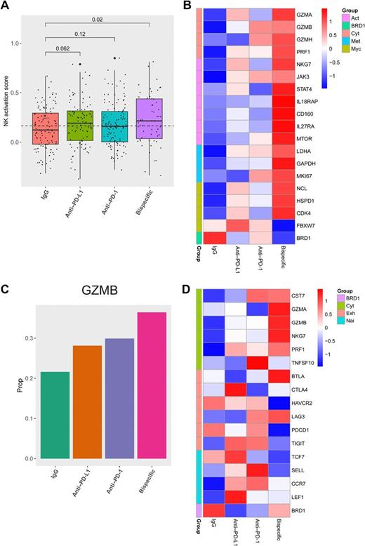 Figure 4. scRNA-seq analysis reveals that the bispecific antibody induces an increased cytotoxic phenotype in CD8 T cells and NK cells and a decreased exhaustion and naivety phenotype in CD8 T cells. A, Activation scores were generated by assessing a panel of 22 genes associated with NK-cell activation. Box plots of the average scores for each treatment are shown, with P values on top generated using a one-tailed t test compared with the isotype control. B, A heatmap demonstrating Z scores generated from mean expression in NK cells for genes related to cytotoxicity (cyt; top), activation (act; second from top), metabolism (met; second from bottom), Myc signaling (Myc; third from bottom), and BRD1 (bottom) is shown comparing IgG, anti-PD-L1, anti-PD-1, and the bispecific antibody. C, The positive rate of GZMB expression across all treatments in all CD8 T-cell populations combined is shown. D, A heatmap demonstrating Z scores generated from mean expression in all CD8 T-cell populations combined for genes related to cytotoxicity (cyt; top), exhaustion (exh; second from top), naivety (nai; second from bottom), and BRD1 (bottom) is shown comparing IgG, anti-PD-L1, anti-PD-1, and the bispecific antibody.