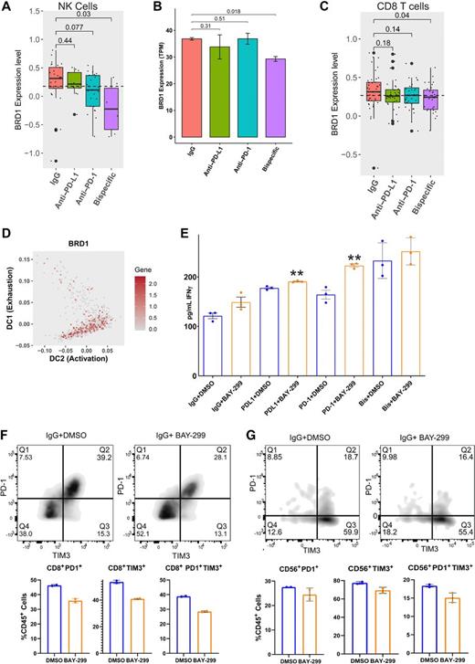 Figure 6. The bispecific antibody acts, in part, through strongly depleting BRD1 expression, leading to increased immune activity through activation and state changes in T and NK cells. A, BRD1 expression was analyzed across different treatment groups from the scRNA-seq experiment (Fig. 3) for NK cells. Bar graph demonstrating the expression level of BRD1 in NK cells for each ICB antibody compared with the IgG control. P values were generated using a one-tailed t test. B, To verify the BRD1 depletion induced by the bispecific antibody in NK cells, another organoid co-culture from an untreated patient with HGSC (20–35) was treated with isotype control, anti-PD-1, anti-PD-L1, or anti-PD-1/PD-L1. NK cells were sorted from the treated cultures at the 96-hour timepoint and sent for bulk RNA-seq. The BRD1 expression across treatments is shown here as transcripts per million (TPM). P values were generated using a one-tailed t test. C, BRD1 expression was analyzed across different treatment groups from the scRNA-seq experiment (Fig. 3) for the naïve and progenitor-exhausted CD8 T-cell subgroups combined. Shown here is a bar graph demonstrating the expression level of BRD1 in the combined ICB-responsive naïve and progenitor-exhausted CD8 T cells compared with the IgG control. P values were generated using a one-tailed t test. D, Diffusion map demonstrating BRD1 expression in CD8 T-cell subgroups transitioning between naïve and progenitor-exhausted CD8s and terminally exhausted and progenitor-exhausted CD8s (mapped in Fig. 5B). The x-axis represents increasing activation, and the y-axis represents increasing exhaustion. The color code for gene expression level is shown on the right. E, The same organoid co-culture from B (20–35) was treated with isotype control, anti-PD-1, anti-PD-L1, or anti-PD-1/PD-L1 combined with either DMSO (blue) or the BRD1 inhibitor BAY-299 (orange). The co-culture media supernatants underwent IFNγ ELISA analysis, shown here as the average pg/mL of IFNγ for the treatment, with error bars representing SE. **, P < 0.005. F and G, The treated organoid co-cultures from B and E underwent flow cytometry analysis for PD-1 and TIM3 single-positive and double-positive cells. Only the IgG and PD-L1–treated cultures could be analyzed here because the anti-PD-1 and bispecific antibody–treated co-cultures showed decreased PD-1 due to the treatment antibody blocking the flow antibody. F, The flow quadrant plots for IgG+DMSO and IgG+BAY-299 are shown for CD8 T cells on the top. PD-1 is on the y-axis and TIM3 is on the x-axis. The percentage of PD-1 (Q1) and TIM3 (Q3) single-positive and double-positive (Q2) CD8 T cells is shown on the bottom as a percent of CD45+ cells. Error bars, SE across two replicates. G, The flow quadrant plots for IgG+DMSO and IgG+BAY-299 are shown for NK cells on the top. PD-1 is on the y-axis and TIM3 is on the x-axis. The percentage of PD-1 (Q1) and TIM3 (Q3) single-positive and double-positive (Q2) NK cells is shown on the bottom as a percent of CD45+ cells. Error bars, SE across two replicates.