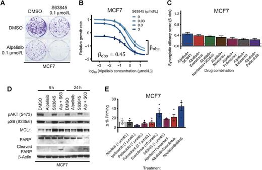 Figure 2. PI3Kα inhibitors and MCL1 inhibitors are a synergistically efficacious combination and induce apoptosis in MCF7. A and B, PI3Kα inhibitor alpelisib and MCL1 inhibitor s63845 is an effective and synergistically efficacious drug combination. MCF7 cells were treated with alpelisib, s63845, and their combination. A, A colony formation assay was performed after 18 days of drug treatment. B, CellTiter-Glo assay was performed before drug treatment and after 6 days of drug treatment to measure cell viability. The relative growth rate is calculated with respect to the DMSO control treatment using cell viability. Efficacy scores {\beta _{obs}}$ are such that {\beta _{obs}} > 0$ means synergistic behavior and {\beta _{obs}}\ \lt \ 0$ means antagonistic behavior. C, The combination of alpelisib and s63845 is equally synergistically efficacious (or more) than clinically relevant drugs like fulvestrant, everolimus, and palbociclib. The dotted red line ({\beta _{obs}}\ = \ 0.08$) is the null-hypothesis synergy score value expected from doubling the alpelisib combination (i.e., a combination of alpelisib with itself). Experiments were done and synergy scores {\beta _{obs}}$ were calculated as in B. D, Combined alpelisib (0.1 μmol/L) and s63845 (0.1 μmol/L) result in an increase in apoptosis (as measured by cleaved PARP levels) compared with each separate drug. E, The combination of alpelisib with s63845 results in an increased apoptosis priming compared with the combination with clinically relevant drugs like fulvestrant and everolimus. Δ% apoptosis priming for a treatment was measured using dynamic BH3 profiling by comparing treated versus untreated cells after 16 hours under increased concentration of BIM peptide.