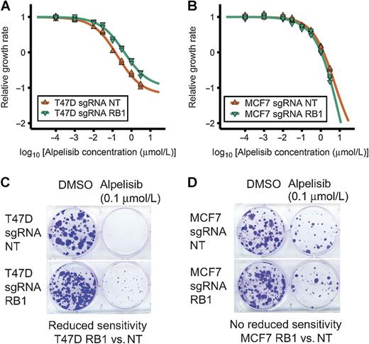 Figure 6. RB1 knockdown can reduce sensitivity to PI3Kα inhibitors in ER+ breast cancer cell line models. RB1 knockdown in T47D (A and C) but not MCF7 cells (B and D) results in a reduced sensitivity to PI3Kα inhibitor alpelisib in short-term and long-term assays. Cell viability was measured using a CellTiter-Glo assay before and after 6 days of drug treatment. Relative growth rate was calculated compared with the DMSO control treatment (A and B). Colony formation assay was performed after 30–40 days of drug treatment.