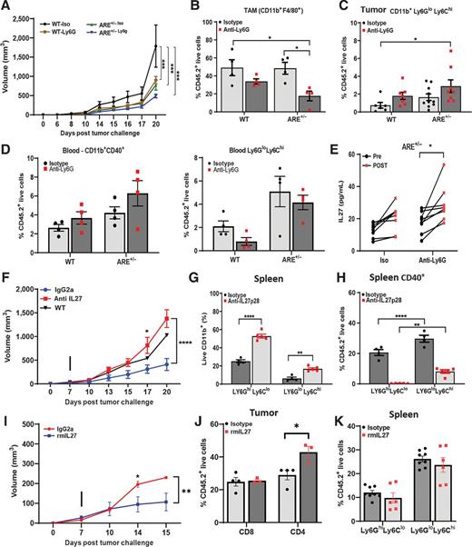Figure 5. Decreased CD40/IL27 regulation on Ly6Chi monocytes by MDSC promotes tumor progression in ARE mice. Seven days post subcutaneous challenge with B16 cells, WT and ARE+/− mice received either anti-Ly6G mAb, anti-IL27p28 (E–H), or rmIL27 (I–K) i.p. twice a week (arrow). A–E, For anti-Ly6G mAb, tumor growth curves (n = 4 per group; A). B and C, Percentage population of TAMs (B) and CD45.2+Ly6Chi Ly6Glo monocytes (C), assessed by FACS. D, Frequency of Ly6GloLy6Chi and CD11b+CD40+ population in blood, as determined by FACS. E, Serum levels of IL27 before (pre) and after (post) B16 challenge (n = 4), as determined by MSD. F–H, For anti-IL27p28, tumor growth curves (n = 5 per intervention; F). G and H, Percentage of spleen LY6G+ and Ly6Chi populations total (G) or expressing CD40+ (H), as determined by FACS. I–K, For rmIL27, tumor growth curves (n = 3–4 per intervention; I). J and K, Percentage of tumor-infiltrating CD8+ and CD4+ T populations total (J) and spleen LY6G+ and Ly6Chi (K), as determined by FACS. Data are shown as mean ± SEM. Two-way ANOVA was used, except for final tumor measurements (Two-tailed Student t test), *, P < 0.05; **, P < 0.01; ***, P < 0.001; ****, P < 0.0001.