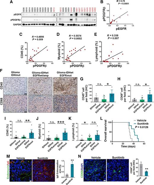 Tumor-Derived Pericytes Driven by EGFR Mutations Govern the Vascular ...