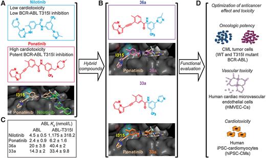 Figure 1. Development and characterization of the ponatinib analogues. A, Chemical structures and molecular docking model of ponatinib and nilotinib to T315I mutant BCR-ABL. B, Chemical structures of the hybrid compounds 33a and 36a and molecular docking models showing entry into the binding pocket of T315I mutant BCR-ABL relative to that of ponatinib. C, Kd values of the compounds determined for WT and T315I mutant ABL. D, Schematic of the in vitro bioassays used to characterize the activities of the compounds.