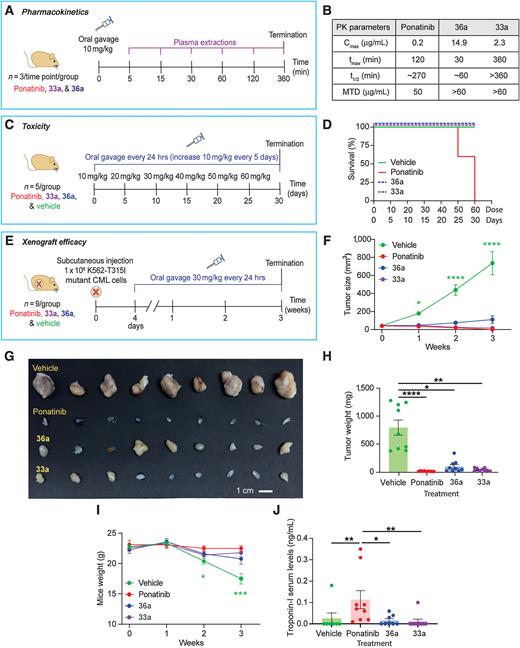 In vivo assessment of 33a and 36a. A and B, The PK study design (A) and table of resulting parameters (B). C and D, Determination of the maximum tolerated dose (MTD; C) and Kaplan–Meier survival curve (D). E, Xenograft study design. T315I mutant BCR-ABL K562 cells were implanted in Matrigel plugs and allowed to establish solid tumors for 4 days prior to compound (30 mg/kg) administration by daily oral gavage (n = 9 of each group). F–H, Tumor size over time (F), explanted tumors (G), and tumor weights (H) at termination (3 weeks). *, P < 0.05; **, P < 0.01; ***, P < 0.001; ****, P < 0.0001. I, Body weight of the mice during the study. J, Serum Troponin-I levels at termination.