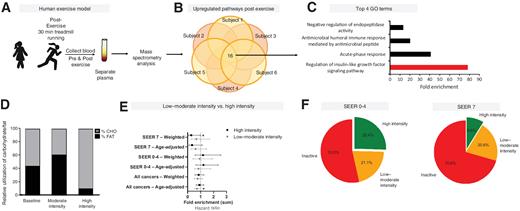 Figure 2. High-intensity activities reduce metastatic cancer likelihood. A, Schematic representation of human exercise model. B, Venn diagrams showing an overlap of 16 pathways based on a GO enrichment analysis of differential proteins found in the plasma of the routinely active subjects (n = 3 males and n = 3 females) after a 30-minute run on the treadmill. C, The top four GO-enriched pathways of the 16 overlapped GO terms. D, The relative contributions of carbohydrates (CHO) and fats to the total substrate utilization prior to exercise and during moderate and high-intensity during a graded exercise test performed on a motorized treadmill. E, Fold enrichments of hazard ratio (HR) from a prospective cohort study among 2,734 cancer-free participants that were followed for 20 years, with indicated SEER stages of cancer classified into inactive (ref), low–moderate intensity (<6 metabolic equivalent, MET), and high-intensity exercise (>6 MET). “w” indicates the analysis for propensity score weighted model. *, P < 0.05. F, Relative exercise intensity of individuals with a cancer diagnosis during the 20 years of follow-up that were classified as SEER 0–4 compared with those with cancers classified as SEER 7.