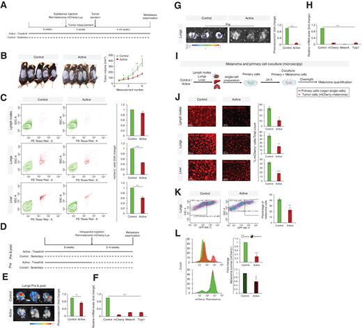An Exercise-Induced Metabolic Shield in Distant Organs Blocks Cancer ...