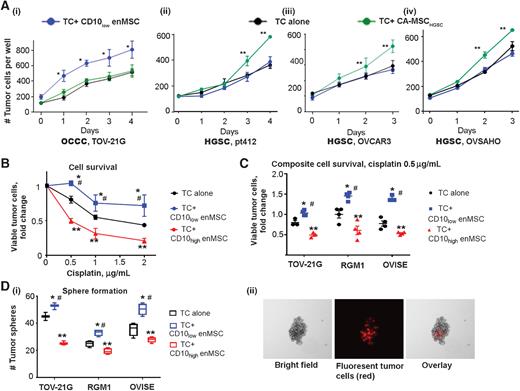 Figure 2. CD10low enMSCs specifically support OCCC growth and do not impact HGSC growth. A, CD10low enMSCs or CA-MSCs derived from HGSC patient tissue (CA-MSCHGSC) were grown with cell trace blue labeled OCCC (i) or HGSC cells OVCAR3 (ii) and OVSAHO (iii) or primary patient derived HGSC cells pt412 (iv). The number of TCs (TC) quantified via cell counting demonstrated CD10low MSCs only enhance OCCC growth whereas CA-MSCHGSC only support HGSC growth. *, P < 0.05 CD10low enMSCs vs. TC alone; **, P < 0.05 CA-MSCHGSC vs. TC alone. B, Cell-trace violet labeled TCs (TOV-21G) grown alone or with CD10low enMSCs or CD10high enMSCs treated with cisplatin for 48 hours. Viable TCs were quantified demonstrating CD10low enMSCs enhance TC chemotherapy resistance. Fold change vs. untreated control and SEM are plotted. C, Composite viable TCs (TOV-21G, RMG1, OVISE) grown alone or with enMSCs as in B. Fold change vs. untreated control is plotted with SEM. D, Fluorescently labeled TCs grown alone or with CD10low enMSCs or CD10high enMSCs under nonadherent conditions were assessed for sphere formation. The number of TC-containing spheres was quantified per group and demonstrate CD10low enMSCs enhance TC sphere growth. Average sphere number and SEM plotted. (ii) Representative picture of TC-containing sphere with both TC and enMSCs present. *, P < 0.05 CD10low enMSCs vs. TC alone; **, P < 0.05 CD10high enMSC vs. TC alone; #, P < 0.05 CD10low enMSC vs. CD10high enMSC.