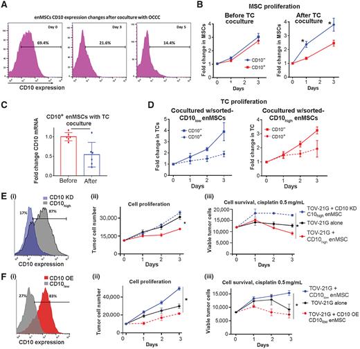 Figure 4. OCCC decreases CD10 expression in enMSCs and loss of CD10 conveys protumorigenic functions. A, Flow cytometric quantification of CD10 surface expression in CD10high enMSCs before and after coculture with OCCC cells demonstrating decreased CD10 surface expression after coculture with TOV-21G cells. B, Quantification of cell numbers over time of sorted and fluorescently labeled CD10+ vs. CD10− enMSCs demonstrates there is no significant difference in the baseline proliferation of CD10+ vs. CD10− enMSCs. However, when grown in coculture with TCs, CD10− enMSCs have significantly increased proliferation vs. CD10+ enMSCs. C, mRNA quantification of CD10 in the CD10+ enMSCs before and after TC coculture (as performed in B). D, CD10low enMSCs (blue) and CD10high enMSCs (red) sorted into CD10− (solid lines) or CD10+ (dashed lines) groups demonstrate TCs grown with CD10− enMSCs grow faster than TCs grown with CD10+ enMSCs regardless of the initial group (CD10 high or low). E, (i) Lentiviral CD10 knockdown (KD) with shRNA of CD10high enMSCs results in 70% reduction in CD10 surface expression. (ii) CD10 KD prevents the CD10high enMSC-mediated growth inhibition of TOV-21G and (iii) enhances the survival of TOV-21G cells to cisplatin therapy. F, (i) Lentiviral CD10 overexpression (OE) of CD10low enMSCs results in a 56% increase in CD10 surface expression. (ii) CD10 OE blocks the CD10low enMSC-mediated growth promotion of TOV-21G cells and (iii) prevents CD10low enMSC-mediated TOV-21G chemotherapy resistance. *, P < 0.05 control enMSCs vs. KD or OE MSC. Mean and SEM are plotted.