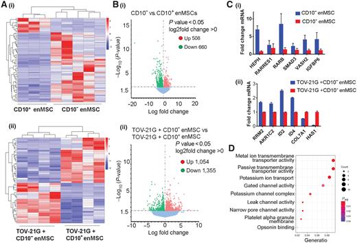Figure 5. RNA-seq demonstrates differential iron regulatory pathways in CD10+ vs. CD10− enMSCs and metal/ion transport pathways in cocultured TOV-21G cells. A, Heatmap of unsupervised hierarchical clustering of (i) CD10− vs. CD10+ enMSCs and (ii) TOV-21G cells grown with CD10− vs. CD10+ enMSCs. B, Volcano plots demonstrating DEGs in (i) CD10− vs. CD10+ enMSCs and (ii) TOV-21G cells grown with CD10− vs. CD10+ enMSCs. C, Validation of top DEGs. D, Pathway analysis of DEG highlighting differences in metal transport and iron regulation.