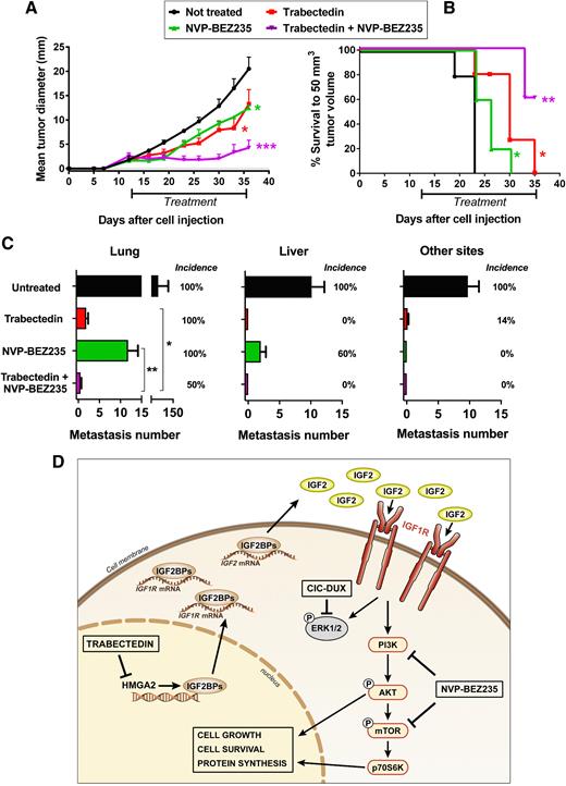 Figure 5. Efficacy of combined treatment with trabectedin and NVP-BEZ235 against CDS tumor growth and metastasis and schematic representation of the CDS-specific HMGA2/IGF2BPs/IGF2/IGF1R/AKT-mTOR pathway. A, Inhibition of PDX-CDS #4-C tumor growth after treatments with trabectedin and/or NVP-BEZ235. Significant reduction in tumor growth was observed after single treatments (*, P < 0.05, Student t test) but the inhibition increased after combination of the two drugs (significance was at least ***, P < 0.001, Student t test starting from day 23) or to single treatments (*, P < 0.05). Points, tumor diameter means (calculated as geometric mean in mm); bars, SE. Drugs were administered as indicated in the Supplementary Material and Methods. B, Tumor-free survival curves of mice treated with trabectedin and/or NVP-BEZ235. Kaplan–Meier curves and Mantel–Cox tests (compared with untreated mice) are shown: *, P < 0.05; **, P < 0.01. C, Inhibition of PDX-CDS#4-C experimental metastases to the lungs, liver, and other sites (mainly interscapular adipose tissue and lymph nodes) after treatments with trabectedin and/or NVP-BEZ235, starting from 7 days after intravenous cell injection. All of the treated groups developed a significantly lower number of metastases than untreated mice by the nonparametric Mann–Whitney test (P < 0.01; n = 7 for untreated control group and trabectedin; n = 5 for NVP-BEZ235; n = 6 for the combination Trabectedin + NVP-BEZ235). In the lung, the combined treatment led to a significant lower number of metastases compared with trabectedin (*, P < 0.05), or with NVP-BEZ235 (**, P < 0.01) as single agents. Bars, metastasis number means and SE. Incidence of mice with metastasis to the different sites (mice with metastasis/total number of mice per group) is reported as percentage. D, In the nucleus, high expression of HMGA2 favors the transcription of IGF2BP2 and IGF2BP3. In the cytoplasm, IGF2BP2 and IGF2BP3 directly bind to and stabilize IGF2 and IGF1R mRNAs, which subsequently activate IGF1R signaling. The repression of MAPK signaling by the CIC-DUX4 fusion protein renders CDSs mainly dependent on the AKT/mTOR pathway. Trabectedin can impair HMGA2 activity by preventing its binding to promoters, thus inhibiting the transcription of its targets IGF2BP2 and IGF2BP3 and decreasing IGF2/IGF1R signaling. NVP-BEZ235 is a dual PI3K/mTOR inhibitor used in phase II clinical trials. The combination of trabectedin with NVP-BEZ235 synergistically inhibits tumor growth.