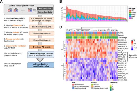 Figure 1. Cancer-associated AS events in gastric tumors. A, Summary of AS-based patient classification scheme. N, normal tissue; P, patient; SNU, Seoul National University; T, tumor. B, Number of differential AS events in tumor versus normal pairs, colored by event type (SE, skipped exon; A5/3SS, alternative 5′/3′ splice site; MXE, mutually exclusive exons; RI, retained intron). The mean number of AS events is shown as a horizontal dashed line. C, Differential AS events in 83 tumors versus normal tissues, plotted as ΔPSI values for each patient. WHO and Lauren classification, as well as tumor stage, are shown.