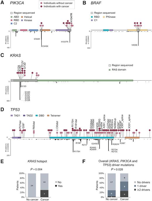 Figure 3. Normal colon carries mutations in common colorectal cancer genes, but these mutations are more abundant and pathogenic in patients with colorectal cancer. A–C, Distribution of mutations in PIK3CA, BRAF, and KRAS in normal colon (above gene diagram) and in colorectal cancer samples from COSMIC database (below gene diagram). Normal colon mutations are color-coded by individuals with or without colorectal cancer and mutations corresponding to cancer hotspots are indicated. D, Distribution of mutations across TP53 in normal colon (above gene diagram) and in colorectal cancer samples from COSMIC database (below gene diagram). E, The percentage of patients with and without colorectal cancer that carry KRAS hotspot mutations in normal colon. F, The percentage of patients with and without colorectal cancer that carry one or more different cancer driver mutations in PIK3CA, KRAS, or TP53 in their normal colon. P values correspond to Fisher's exact test. ABD, adapter-binding domain; RBD, Ras-binding domain; Pkinase, protein tyrosine kinase domain; TAD, transactivation domain; DBD, DNA-binding domain; Tetramer, tetramerization domain.