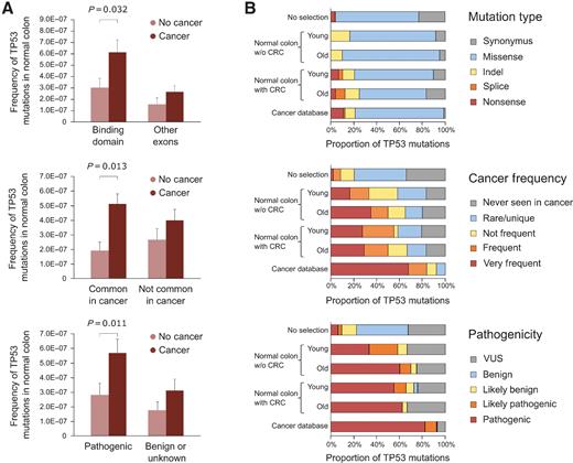Figure 5. TP53 mutations identified in normal colon are more pathogenic in individuals with colorectal cancer than in cancer-free individuals and more closely resemble TP53 mutations identified in colorectal cancer. A, TP53 mutation frequency of individuals with and without colorectal cancer was compared on the basis of mutations localized in the binding domain, mutations common in colorectal cancer, and mutations predicted to be pathogenic. Data were extracted from Seshat (ref. 38). Only significant P values of the Mann–Whitney U test are displayed. Error bars represent standard error of the mean. B, Distribution of TP53 mutations by mutation type, cancer frequency, and pathogenicity in normal colon of young (<55-years-old) and old (≥55-years-old) individuals without and with colorectal cancer compared with all possible TP53 mutations in the coding region (no selection, n = 3,546) and TP53 mutations reported in colorectal cancer in the UMD cancer database (n = 17,681). Number of TP53 mutations in each group: Young without colorectal cancer n = 12; old without colorectal cancer n = 20; young with colorectal cancer n = 29; old with colorectal cancer n = 24.
