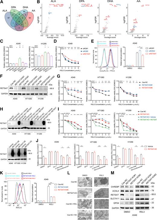 Retinol Saturase Mediates Retinoid Metabolism to Impair a Ferroptosis ...