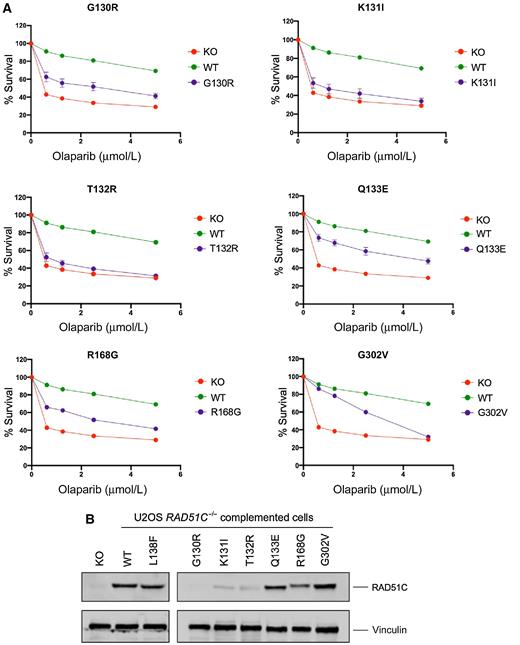 Functional and Clinical Characterization of Variants of Uncertain
