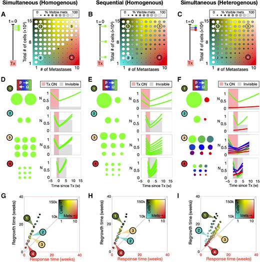 Figure 5. Comparing effects of seeding timing and intermetastasis heterogeneity on metastasis visibility and cycle times. A–C, Metastases are either seeded simultaneously (A), sequentially (B), or with heterogeneous phenotypes simultaneously (C). For each case, an array of values for total tumor burden and number of metastases are plotted colored according to the percentage of visible metastases. D–F, Spatial distributions of several example metastases are shown prior to treatment, and temporal dynamics of individual metastasis sizes are shown over one cycle of adaptive therapy. G–I, The same simulations from the arrays in A–C are plotted in cycle space using the same background colormap that designates the combination of number of metastases and total number of cells. [NDx, m, r0, dr, hi, ha] = [10,000–150,000, 1–10, 0, 0, 0, 0]. Threshold of visibility is set at 10,000 cells. Animations of example simulations are shown in Supplementary Data, Movie S3.
