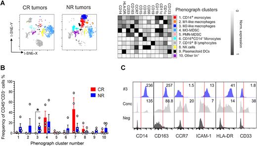 Figure 5. NR EACs show increased baseline infiltration of protumor M2-like macrophages. A, Exemplified tSNE visualization of 20 surface markers representing 7,000 merged CD45+ CD3− tumor cells from CRs (n = 3) and NRs (n = 4); cells are colored according to the 10 clusters assigned by PhenoGraph and manual annotation; the corresponding heatmap shows median marker intensity normalized to a 0 to 1 range. B, Frequencies of the clusters in CR (n = 3) and NR (n = 4) CD45+ CD3− cells presented as mean ± SEM. *, P < 0.05; one-way ANOVA. C, Histograms showing the expression of six surface markers in cluster #3 (assigned as M2-like macrophages), concatenated CD45+ CD3− events (Conc), and negative control (Neg) relative fluorescence intensity (RFI) values are shown.