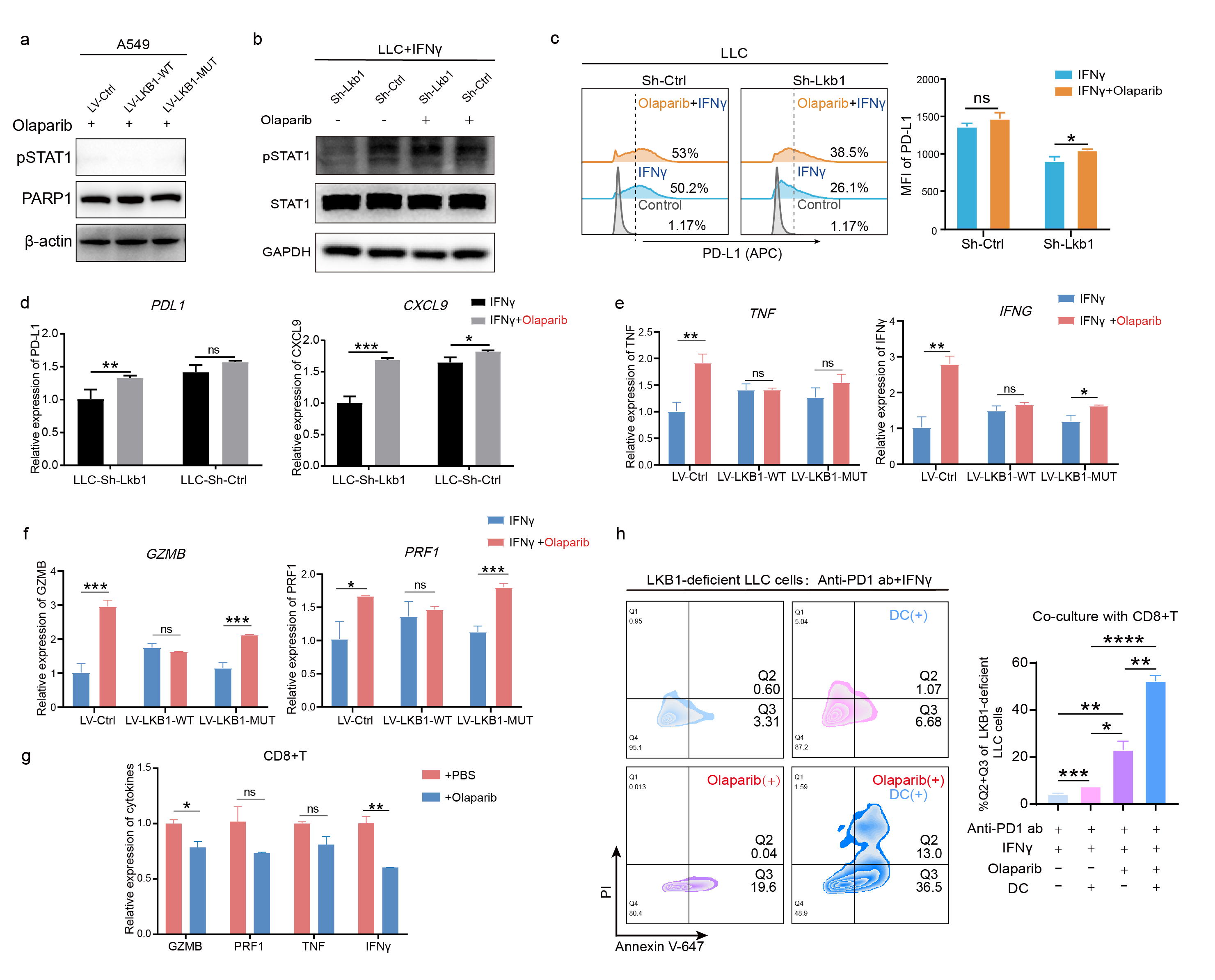 PARP Inhibition Induces Synthetic Lethality and Adaptive Immunity in ...