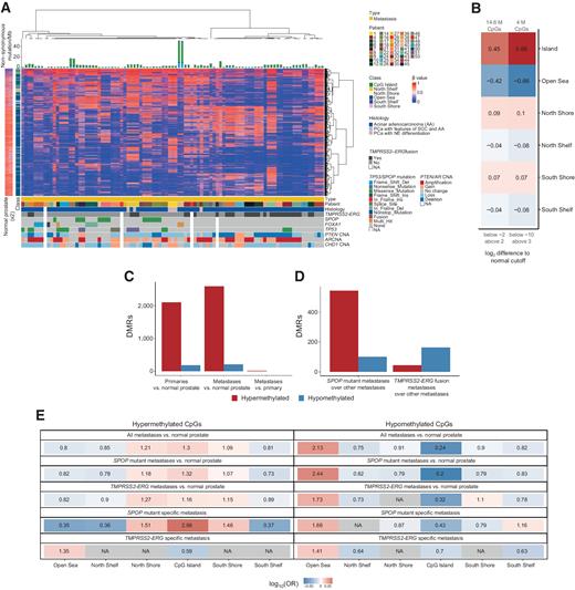 Figure 3. SPOP-mutant and TMPRSS2-ERG fusion PCBM have distinct methylomes. A, Unsupervised hierarchical consensus clustering of metastatic samples from 42 patients. Samples from each patient were clustered using 1% most variably methylated CpG sites from the Illumina EPIC array (8,038 sites). The heatmap shows the β values. Class of CpG (in relation to CpG island) is shown in blue/green heatmap on the left, along with methylation status of CpG sites in normal prostate tissue. Mutational burden (mutations/Mb) is shown in the barplot on top. Sample type (primary or metastatic), histology, and genetic alterations from whole-exome sequencing are annotated below. B, Enrichment in CpG types among the variably methylated CpGs, showing CpGs with log2 fold difference to mean β value of normal prostates below −2 and above 2 (left column), and below −10 and above 3 (right column). Values and colors indicate Pearson correlation coefficients. P values were < 2.22 × 10−16 in all cases. C, Number of DMRs in primary cancers compared with normal prostate and metastases compared with normal prostate (DMR ≥ 5 CpGs, >|20%| change in methylation, q < 0.05). D, Number of DMRs in metastases with SPOP mutation versus samples with neither SPOP mutation nor TMPRSS2-ERG fusion, and metastases with TMPRSS2-ERG fusion versus samples with neither SPOP mutation nor TMPRSS2-ERG fusion (DMR ≥ 5 CpGs, >|20%| change in methylation). E, Enrichment for differentially methylated CpGs between all metastases and normal prostate tissue, SPOP-mutant metastases and normal prostate tissue, TMPRSS2-ERG fusion metastases, and normal prostate tissue, SPOP-mutant metastases compared with non-TMPRSS2-ERG/SPOP-mutant metastases, and TMPRSS2-ERG fusion metastases compared with non-TMPRSS2-ERG/SPOP-mutant metastases. Values indicate the log-OR from Fisher exact tests.