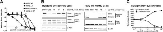 Figure 5. TKIs reveal altered pharmacology of HER2 variants S310F, p95-M611, and Δ16. A, Concentration-dependent inhibition of HER2 WT (cell line: BT474) and variants (S310F, p95-M611, and Δ16; cell line Ba/F3) by lapatinib. B and C, Lapatinib-induced dimerization of HER2 p95-M611 variant.