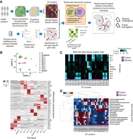 Spatial Transcriptomics Depict Ligand–Receptor Cross-talk Heterogeneity ...