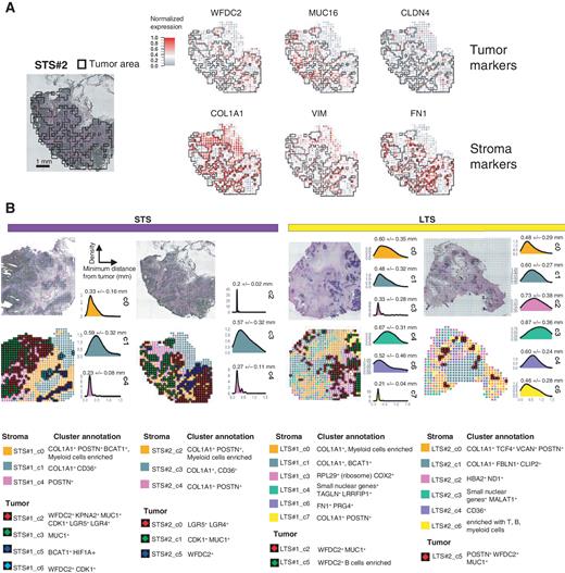 Spatial Transcriptomics Depict Ligand–Receptor Cross-talk Heterogeneity ...