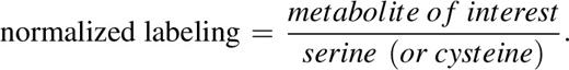 formula