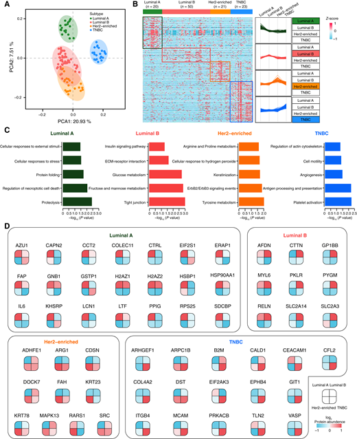 Proteomic characteristics of EVs derived from four clinical subtypes of breast cancer. A, Principal component analysis (PCA) of 356 proteins in 114 samples. Green, luminal A (n = 20); red, luminal B (n = 50); orange, Her2-enriched (n = 21); and blue, TNBC (n = 23). B, Differentially expressed proteins in luminal A, luminal B, Her2-enriched, and TNBC samples. See Supplementary Table S3. C, The pathways that were significantly enriched in luminal A, luminal B, Her2-enriched, and TNBC samples, respectively (Fisher exact test, P < 0.05). D, Differentially expressed proteins in luminal A, luminal B, Her2-enriched, and TNBC samples.