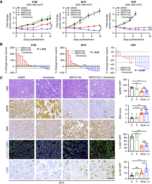 Venetoclax enhances the efficacy of MRTX1133 in vivo. The 2138, 3213, and 1245 KPC cells (2.5 × 104) were implanted via subcutaneous injection into the flanks of C57BL/6 mice. Once animals developed 250 to 300 mm3 tumors, they were treated with vehicle control (DMSO), venetoclax (15 mg/kg daily), MRTX1133 (30 mg/kg 2×/day), or the combination of venetoclax and MRTX1133. A, Tumor size was measured 2 to 3 times/week by caliper, and tumor volume was calculated using the formula V = (W2 × L)/2 and normalized to tumor volume at the start of treatment. Error bars, ± SEM, n = 8 to 9 per treatment group. Significance between the MRTX1133-treated group and the combination treatment group was determined by two-way ANOVA with the Sidak multiple comparisons test. Changes in tumor volume between the dotted lines (−30%, +20%) were considered as stable disease. B, Relative tumor volumes at study endpoints were compared with tumors at the start of treatment, and change in tumor volume was calculated. Unpaired t test. C, 3213 tumors at the study endpoints were hematoxylin and eosin (H&E)–stained and stained for pERK, BIM, the proliferation marker Ki67, the epithelial marker CK19, and the apoptosis marker c-C3. Error bars, ± SD. One-way ANOVA, followed by the Tukey multiple comparison test. *, P < 0.05; **, P < 0.01; ***, P < 0.001; ****, P < 0.0001; ns, not significant. Scale bars, 100 μm. C, DMSO; V, venetoclax; M, MRTX1133.