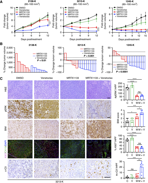 Tumors established from KPC-K cells respond to the combination of MRTX1133 and venetoclax. The 2138-K, 3213-K, and 1245-K KPC cells (2.5 × 104) were implanted via subcutaneous injection into the flanks of C57BL/6 mice. Once animals developed ∼80 to 100 mm3 tumors, they were treated with vehicle control (DMSO), venetoclax (15 mg/kg daily), MRTX1133 (30 mg/kg 2×/day), or the combination of venetoclax and MRTX1133. A, Tumor size was measured 2 to 3 times/week by caliper, and tumor volume was calculated using the formula V = (W2 × L)/2 and normalized to tumor volume at the start of treatment. Error bars, ± SEM, n = 7–9 per treatment group. Significance between the MRTX1133-treated group and the combination treatment group was determined by two-way ANOVA with the Sidak multiple comparisons test. Changes in tumor volume between the dotted lines (−30%, +20%) were considered as stable disease. B, Relative tumor volumes at study endpoints were compared with tumors at the start of treatment, and change in tumor volume was calculated. Unpaired t test. C, 3213-K tumors at the study endpoints were hematoxylin and eosin (H&E)–stained and stained for pERK, BIM, the proliferation marker Ki67, the epithelial marker CK19, and the apoptosis marker c-C3. Error bars, ± SD. One-way ANOVA, followed by the Tukey multiple comparison test. *, P < 0.05; **, P < 0.01; ***, P < 0.001; ****, P < 0.0001; ns, not significant. Scale bars, 100 μm. C, DMSO; V, venetoclax; M, MRTX1133.