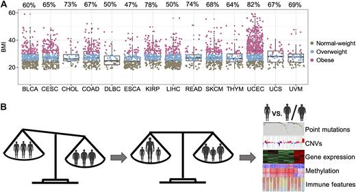 Figure 1. BMI distribution and PSW algorithm overview in this study. A, Distribution of normal weight, overweight, and obese BMI groups in 14 cancer types. B, Overview of the PSW algorithm used to balance confounding factors and evaluate the body weight–associated molecular features, including somatic mutations, CNVs, gene expression, gene methylation, and immune features. BLCA (n = 353), bladder urothelial carcinoma; CESC (n = 250), cervical squamous cell carcinoma and endocervical adenocarcinoma; CHOL (n = 40), cholangiocarcinoma; COAD (n = 232), colon adenocarcinoma; DLBC (n = 46), lymphoid neoplasm diffuse large B-cell lymphoma; ESCA (n = 167), esophageal carcinoma; KIRP (n = 208), kidney renal papillary cell carcinoma; LIHC (n = 320), liver hepatocellular carcinoma, READ (n = 70), rectum adenocarcinoma; SKCM (n = 245), skin cutaneous melanoma; THYM (n = 97), thymoma; UCEC (n = 513), uterine corpus endometrial carcinoma; UCS (n = 52), uterine carcinosarcoma; and UVM (n = 52), uveal melanoma.