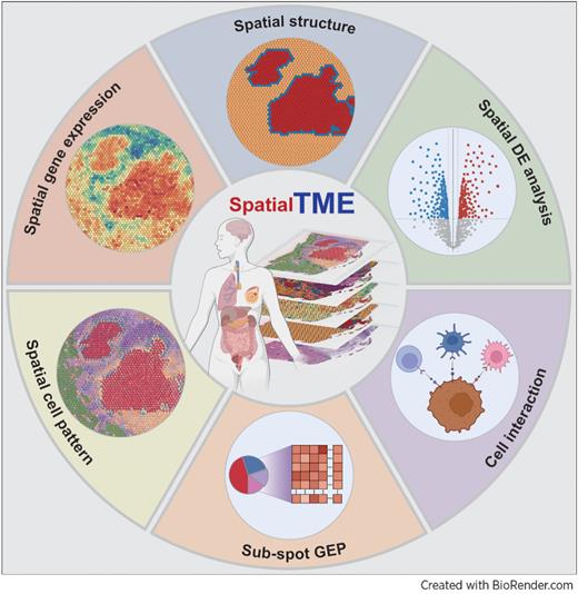 The Web-Based Portal SpatialTME Integrates Histological Images with ...