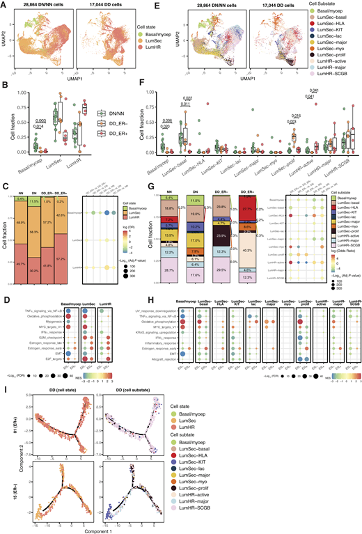 Identification and comparison of epithelial subtypes. A, UMAP embedding plots based on 45,908 epithelial cells (left, 28,864 DNNN; right, 17,044 DD) colored by the three major epithelial cell states found in the normal breast. Data integration and dimension reduction was performed on epithelial cells prior to UMAP embedding. B, Relative cell fractions of three major epithelial cell states at the pseudobulk level for each sample for DN/NN, DD ER−, and DD ER+. Variation in cell fraction by group was tested using the Wilcoxon rank-sum test, and P values were adjusted using the Benjamini–Hochberg method to account for multiple comparisons. The results with an adjusted P value of less than 0.05 are shown. C, Corresponding relative frequencies for the cell state compositions within DN, NN, DD ER+, and DD ER− groups are summarized as stacked bars, with text showing the percentage of cells. The dot grid shows the resulting odds of cell state membership based on CNV and ER status. The color of the dots indicates the log OR, and the size indicates significance. D, Selected significant pathways from GSEA differentially enriched between pseudobulk samples from DN/NN and DD of three major cell states in ER− DCIS and ER+ DCIS, analyzed separately. The color of the dots indicates the normalized enrichment score (NES), and the size indicates significance measured as the negative log10-adjusted P value. E–H present results at finer resolution, in which 11 epithelial cell substates are considered instead of the three major states. They correspond to panels A–D, respectively. I, Cell trajectory analysis based on DN/NN, DD ER−, and DD ER+ for selected patients 01 and 15. Cells in the left column are colored by the three major epithelial cell states, and cells in the right column are colored by the 11 epithelial cell substates.