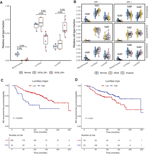 Analysis of cell type proportions in independent DCIS cohorts. A, Analysis of imputed cell fractions based on three major epithelial cell states found in the normal breast from bulk RNA-seq datasets of the FFPE sample set matching the scRNA-seq samples as depicted in Fig. 1A with three normal, seven ER+ DCIS, and five ER− DCIS libraries obtained from 11 patients (sample set 1). Differences were tested using the unpaired two-sample Wilcoxon rank-sum test. P values were adjusted using the Benjamini–Hochberg method to account for nine comparisons. The results with an adjusted P value of less than 0.05 are shown. B, Analysis of imputed cell fractions based on three major epithelial cell types found in normal breast from bulk RNA-seq datasets of 126 patient-matched normal breast, DCIS, and IBC libraries (24 ER+ DCIS, 18 ER− DCIS, 42 matched normal, and 42 matched IBC; sample set 2). Points for each patient are connected with a gray line. Pairwise differences were tested using one-sample Wilcoxon signed-rank tests. P values were adjusted using the Benjamini–Hochberg method to account for 18 comparisons. C and D, Kaplan–Meier curves of time to IBC recurrence for high and low levels of LumSec-major (C) and LumSec-myo (D) from the analysis of imputed cell fraction bulk RNA-seq datasets of retrospective DCIS case–control cohorts (sample set 3). The P values were derived from Cox proportional hazards models to assess the difference in recurrence risk between the two groups. The table below each plot shows the number of patients still at risk of recurrence at each time point.