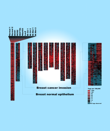 Issue cover image