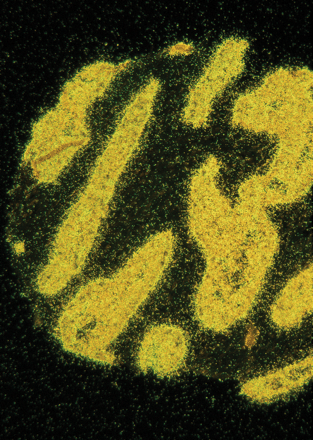 Issue cover image