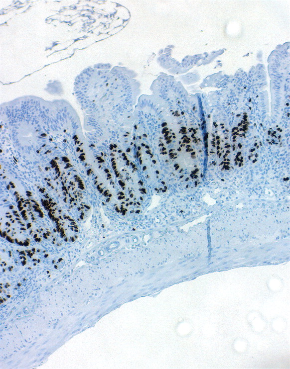 Issue cover image