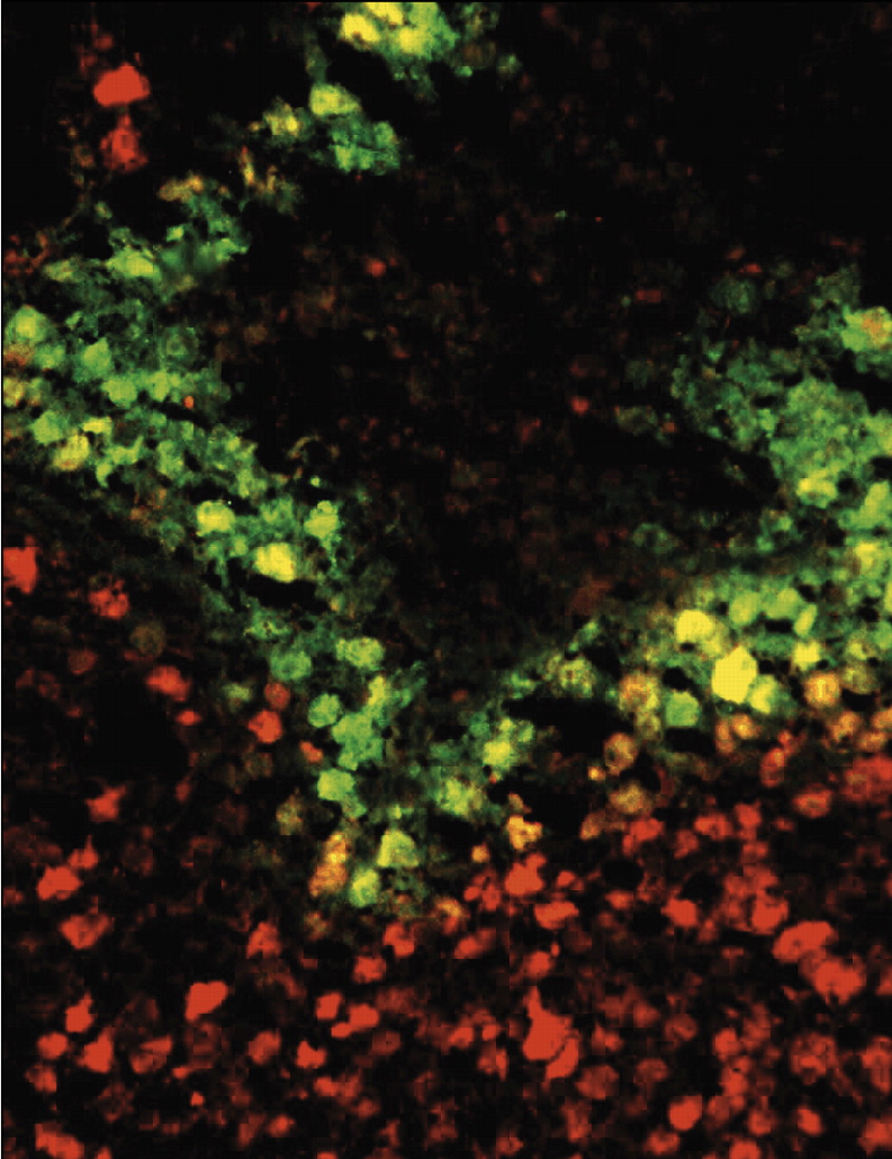 Issue cover image
