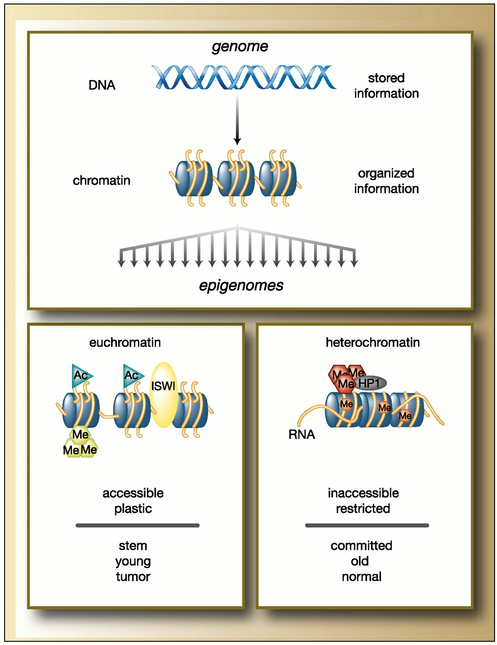 Issue cover image