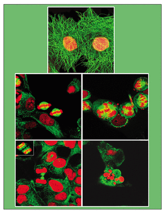 Issue cover image